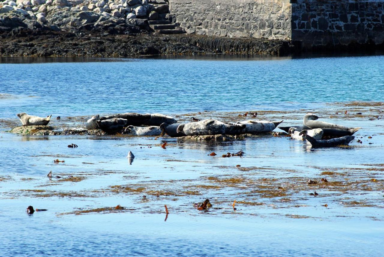 Portnahaven Orsay House B&B 외부 사진