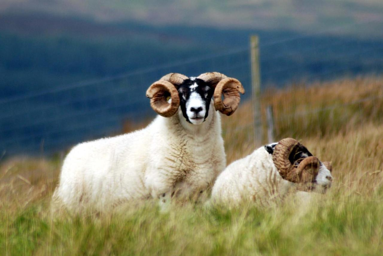 Portnahaven Orsay House B&B 외부 사진