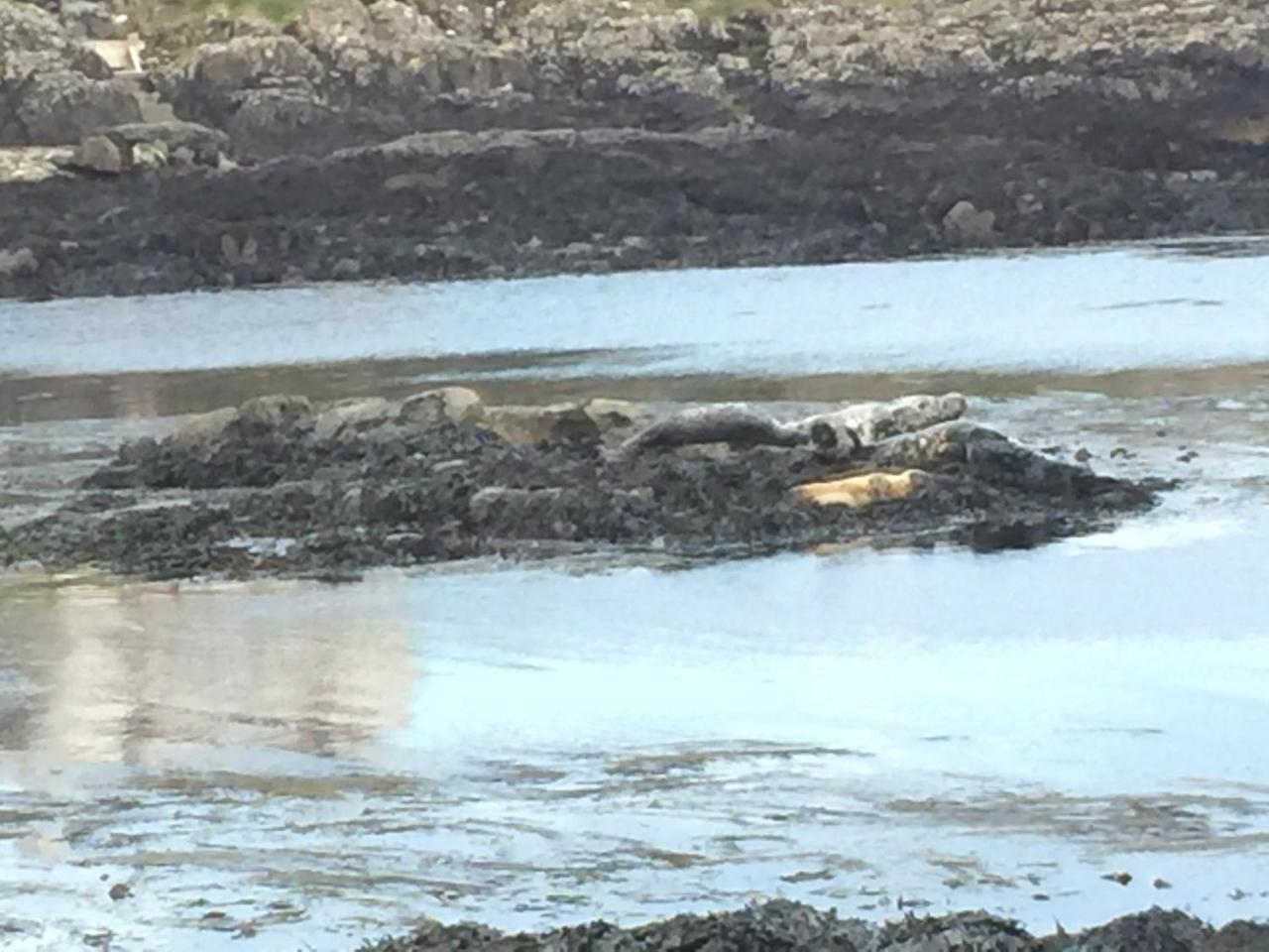 Portnahaven Orsay House B&B 외부 사진
